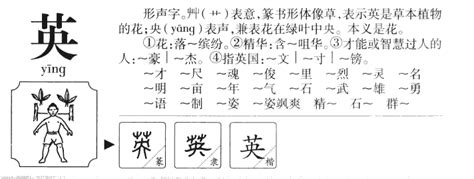 英 五行|英字五行属什么